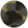 Pearl Noir Tortoise - Smoke Gradient Lens