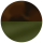 Moss + Tort - Brown Gradient Lens