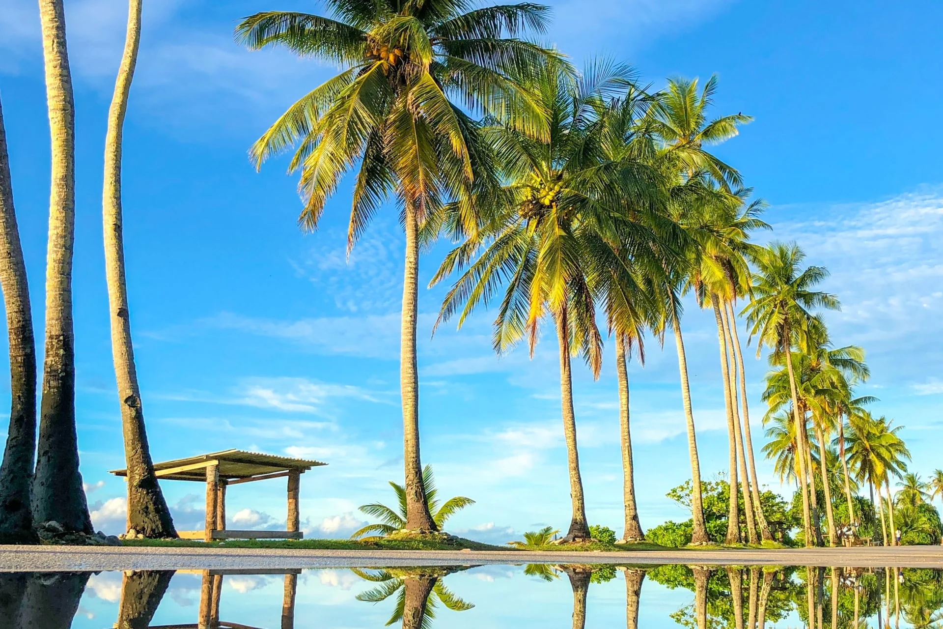 A beach with palm trees reflected in the water.