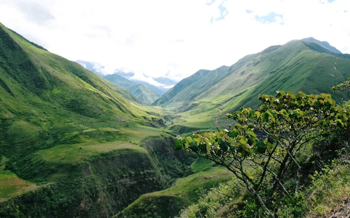 A view of a green valley with mountains in the background.