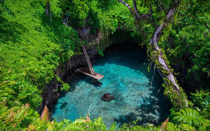 A blue pool in the middle of a green jungle.