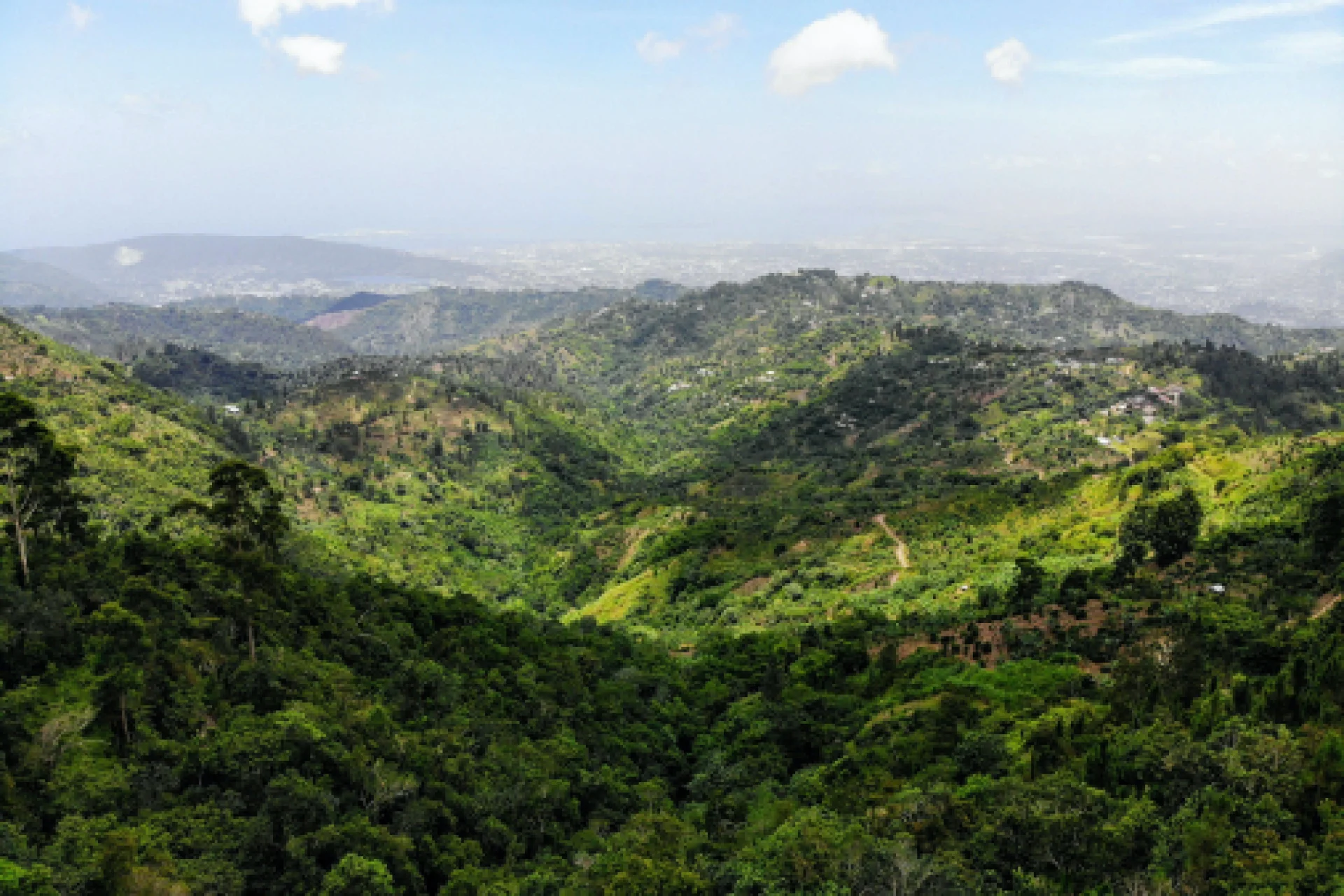A view from the top of a mountain in jamaica.