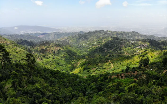 A view from the top of a mountain in jamaica.