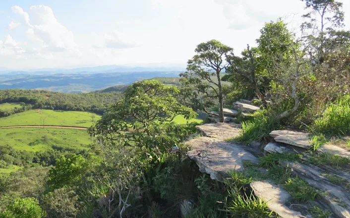 The view from the top of a cliff overlooking a lush green valley.