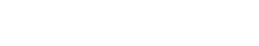 Lattice Logo White