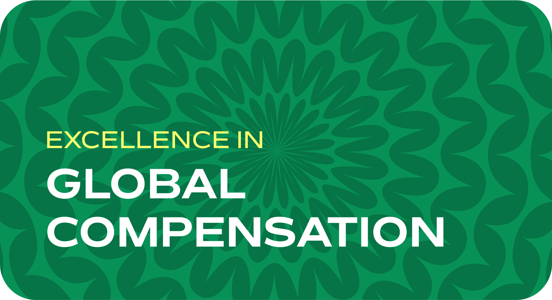 A green background with the words excellence in global compensation.