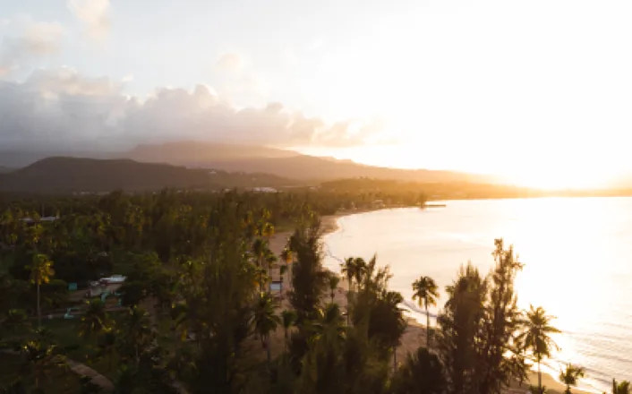 An aerial view of a beach with palm trees and mountains in the background.