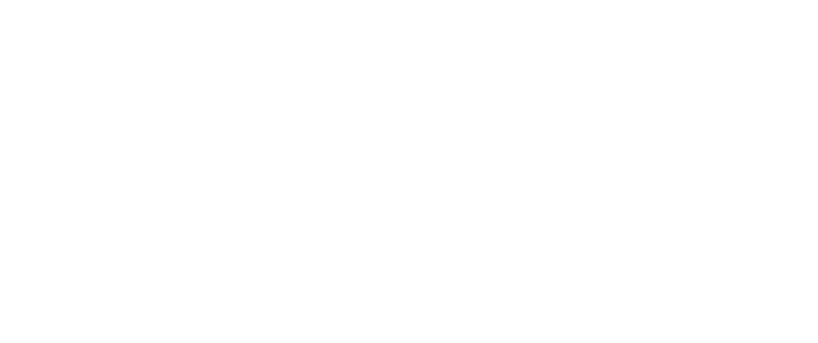Base Logo White