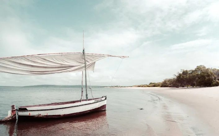 A boat on a beach with a white sail.