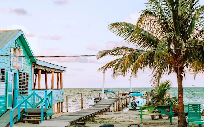 A blue house on the beach with palm trees.