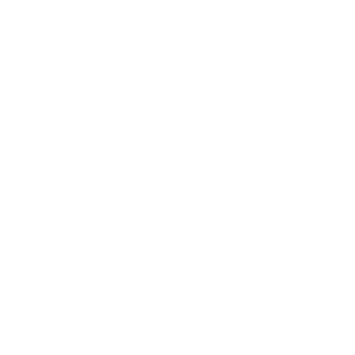 Staq Partner Logo White