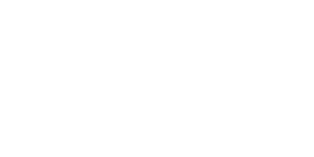 Pro5.ai logo white