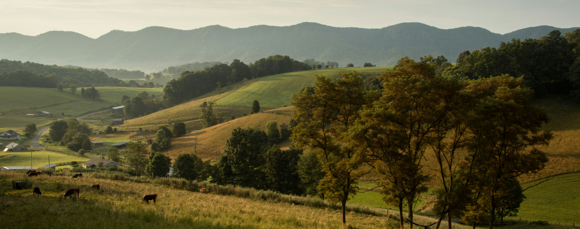 Rolling hills in Virginia countryside