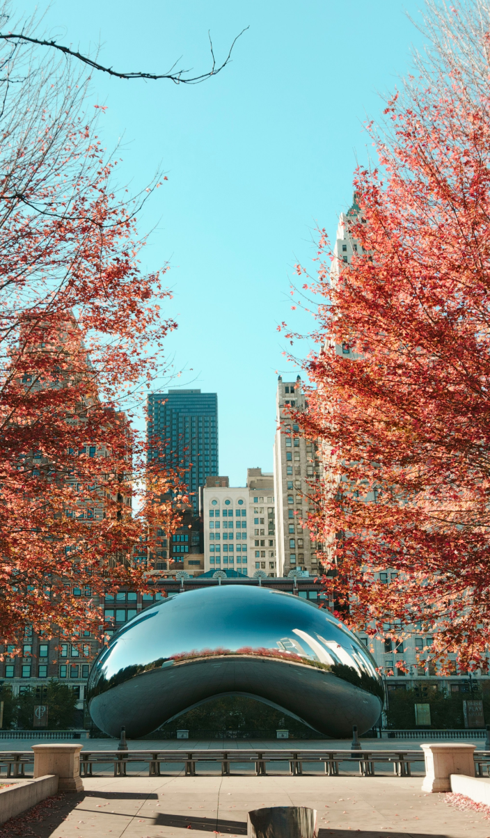 A shiny, bean-shaped sculpture in a park with red autumn trees and modern skyscrapers in the background.