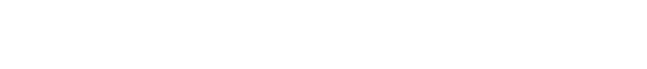 SeedLegals Logo White