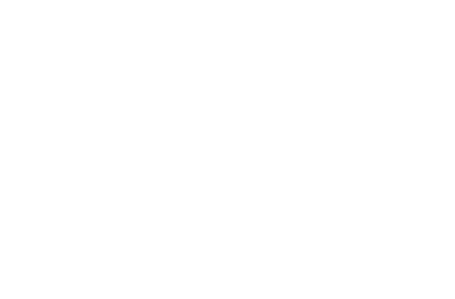 Alariss Global Logo White