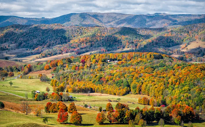 Virginia forest countryside