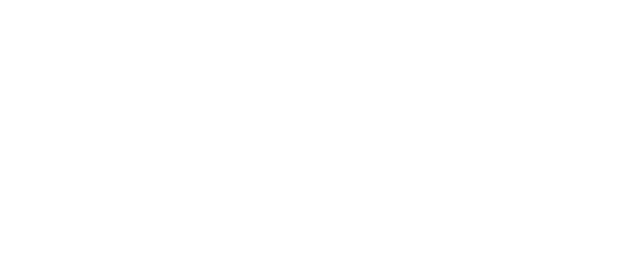 Nexton Logo White