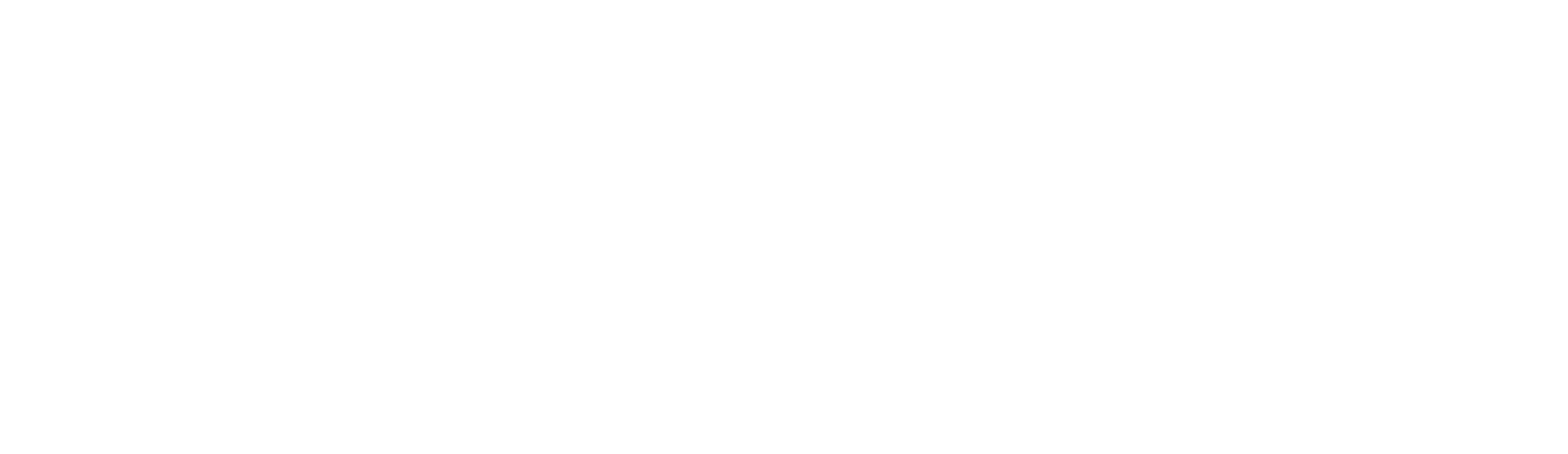 Aspire Partner Logo White