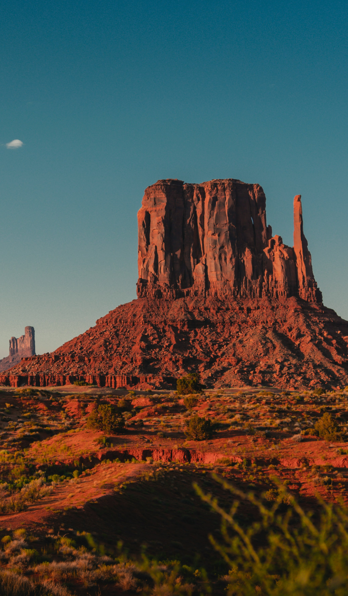 Employer of Record & Payroll Services in Arizona Remote