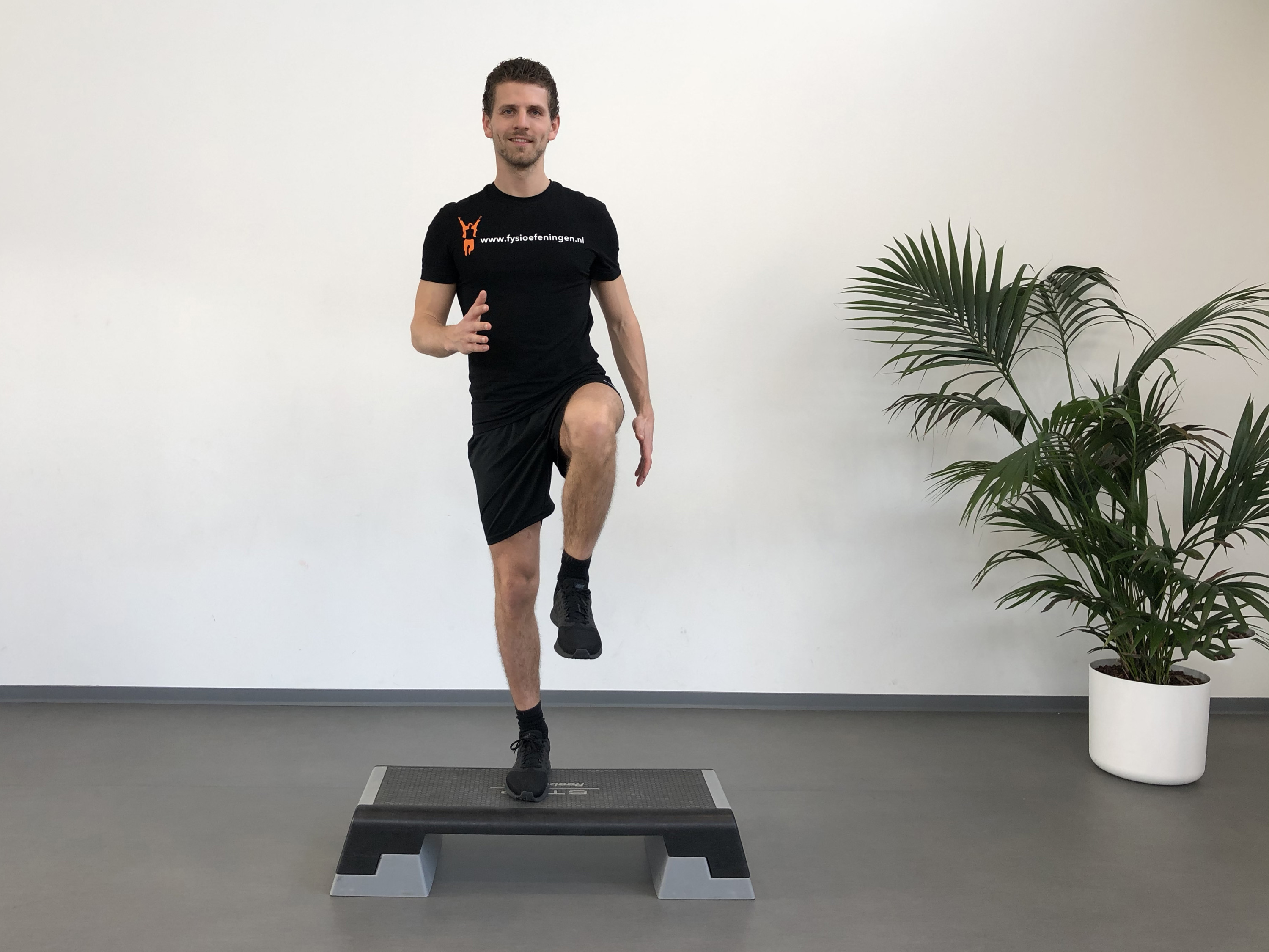Core | Staand | Running men voorwaarts | Fysioefeningen.nl | Breda
