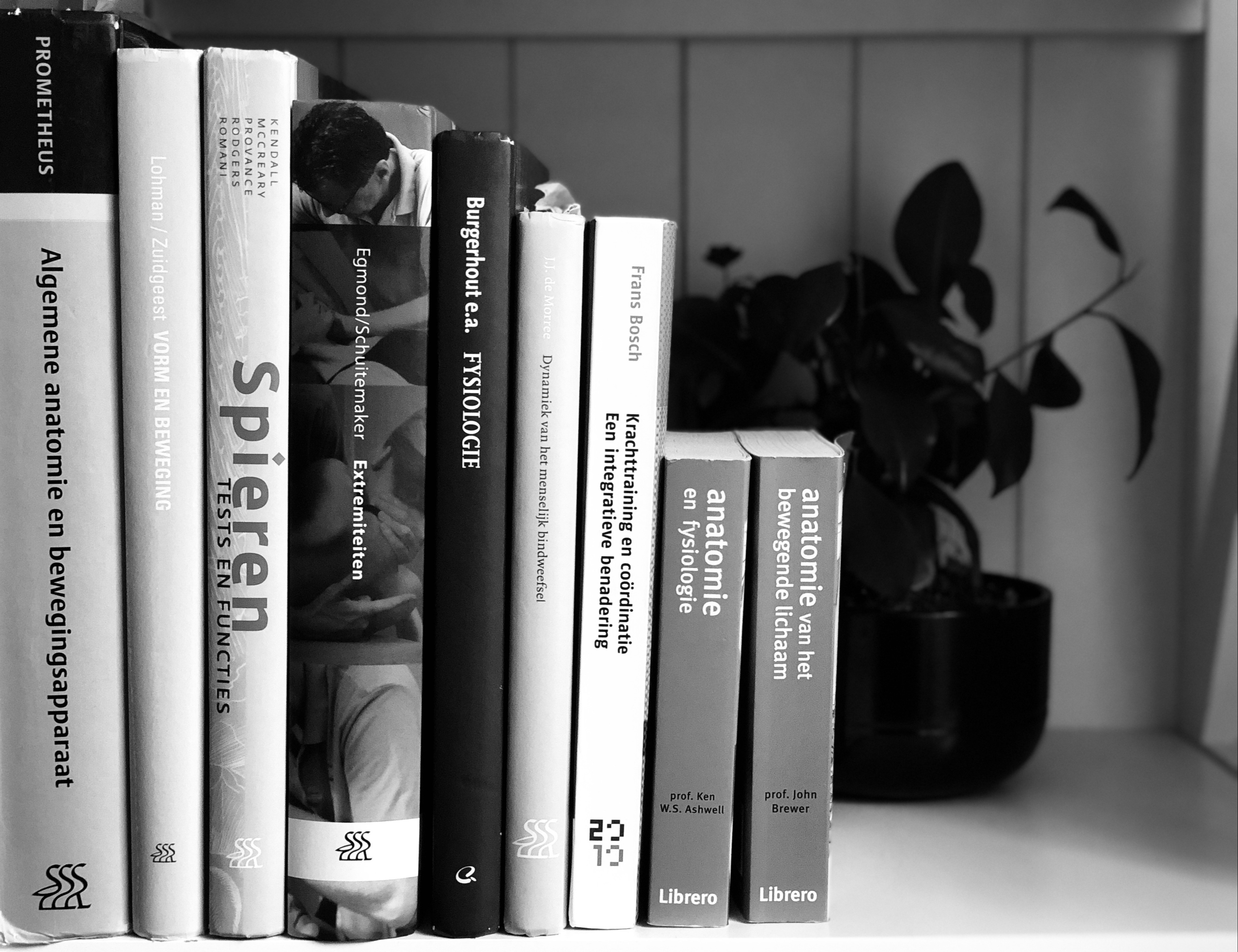 Find all information you want about injuries, pain and ailments.