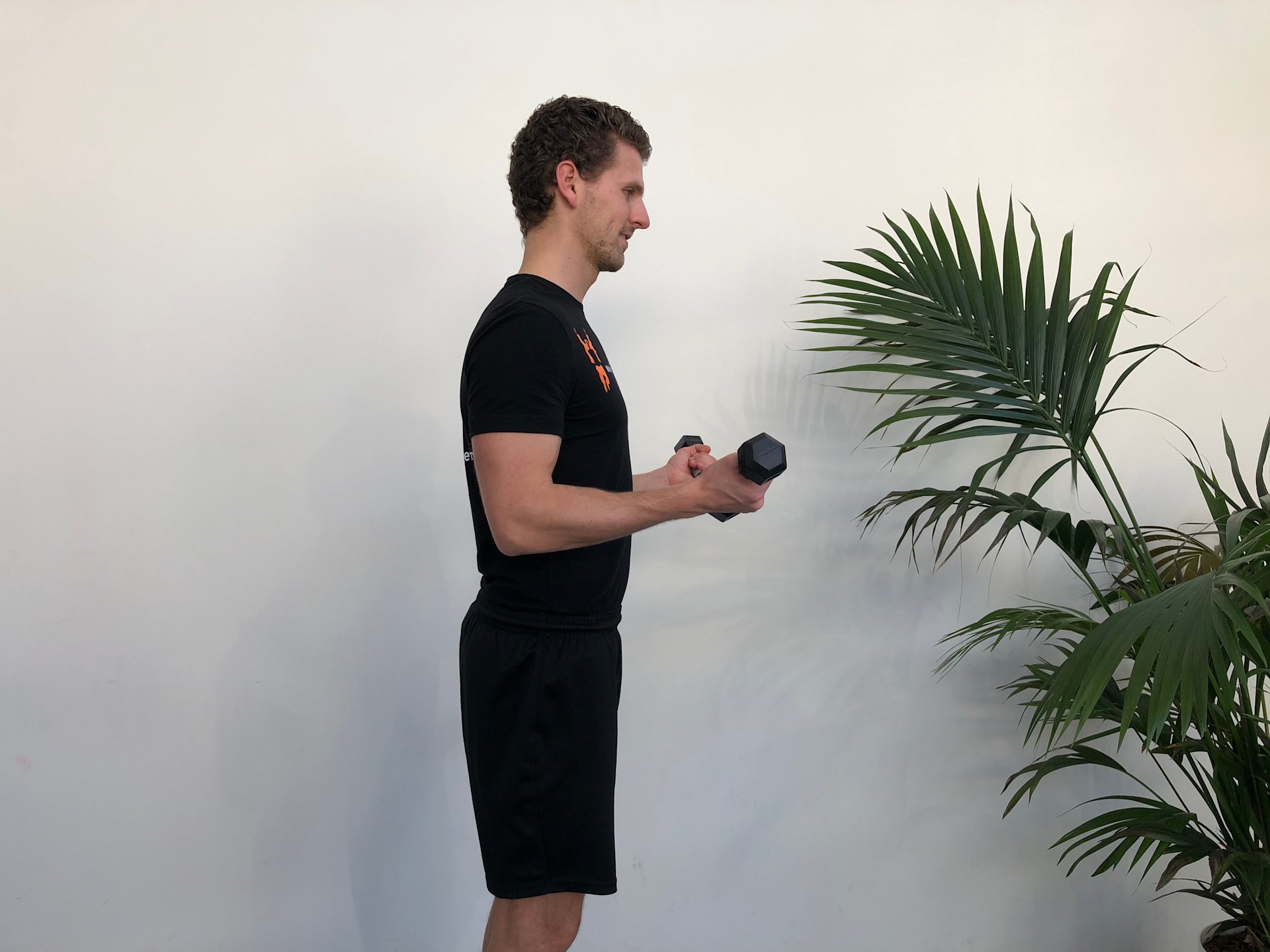 Elleboog | Staand | Biceps curl | Fysioefeningen.nl | Breda Elleboog | Staand | Biceps curl | Fysioefeningen.nl | Breda