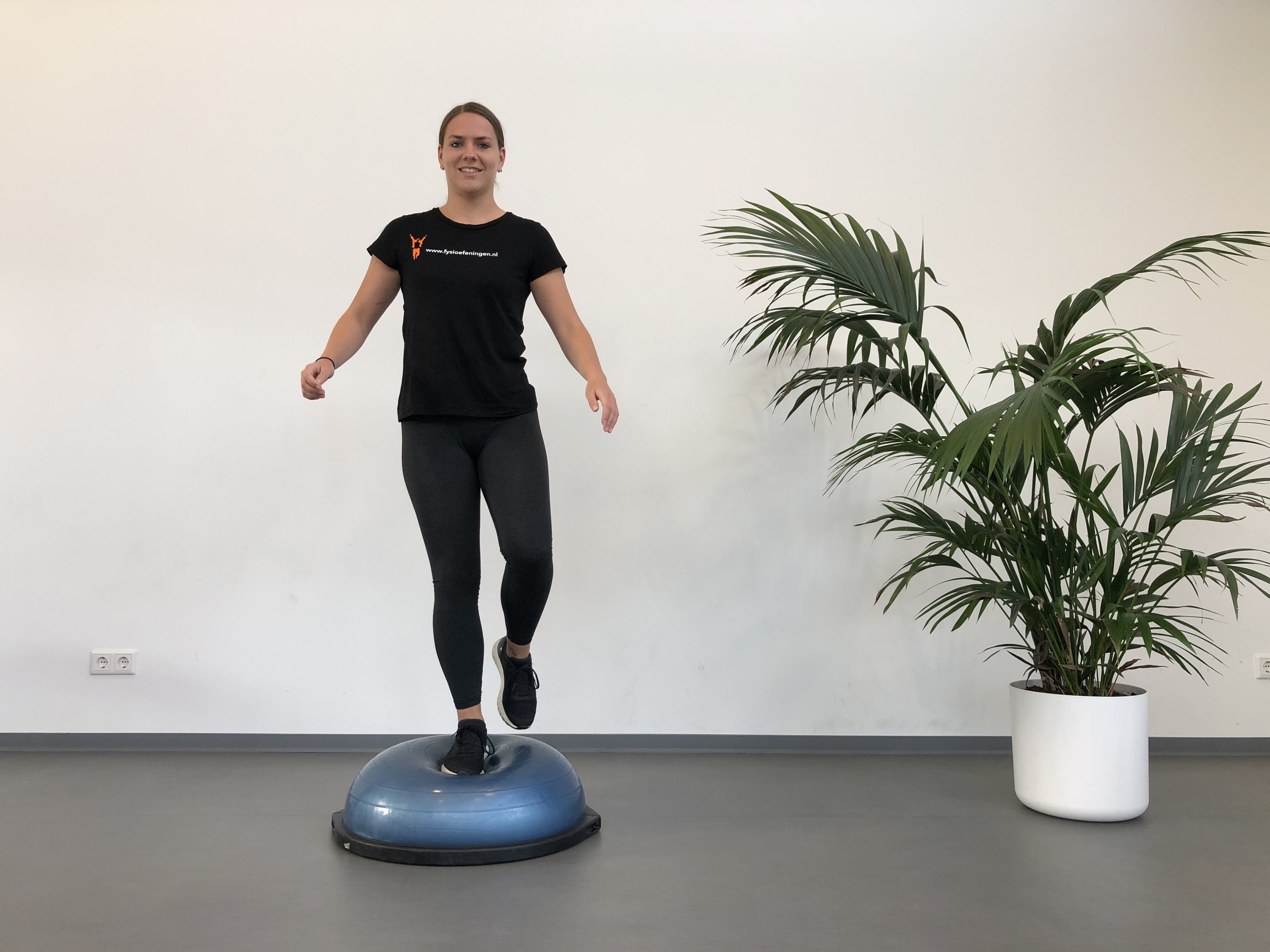 Enkel | Staand | Bosu bal | Fysioefeningen.nl | Breda