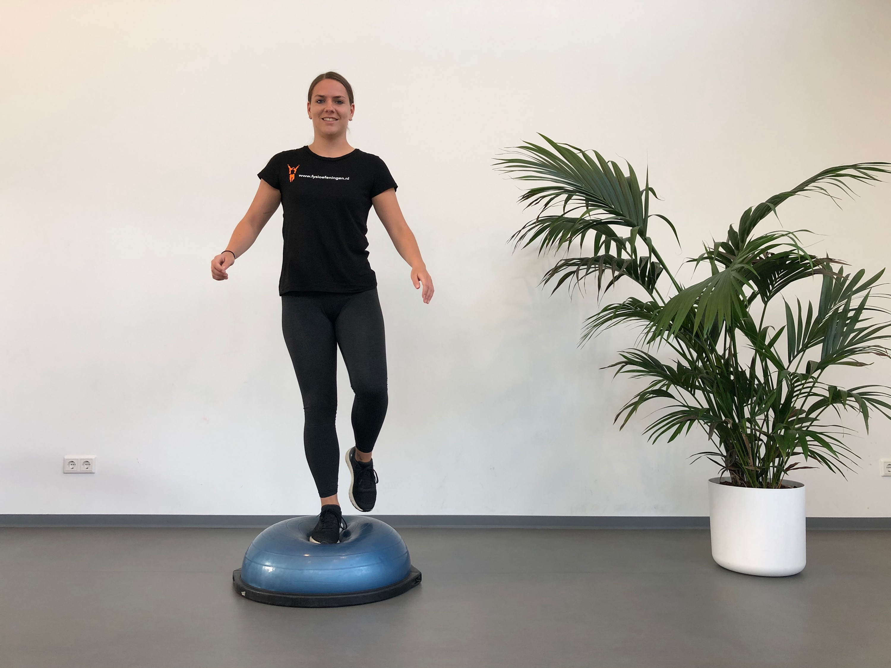 Enkel | Staand | Bosu bal | Fysioefeningen.nl | Breda Enkel | Staand | Bosu bal | Fysioefeningen.nl | Breda