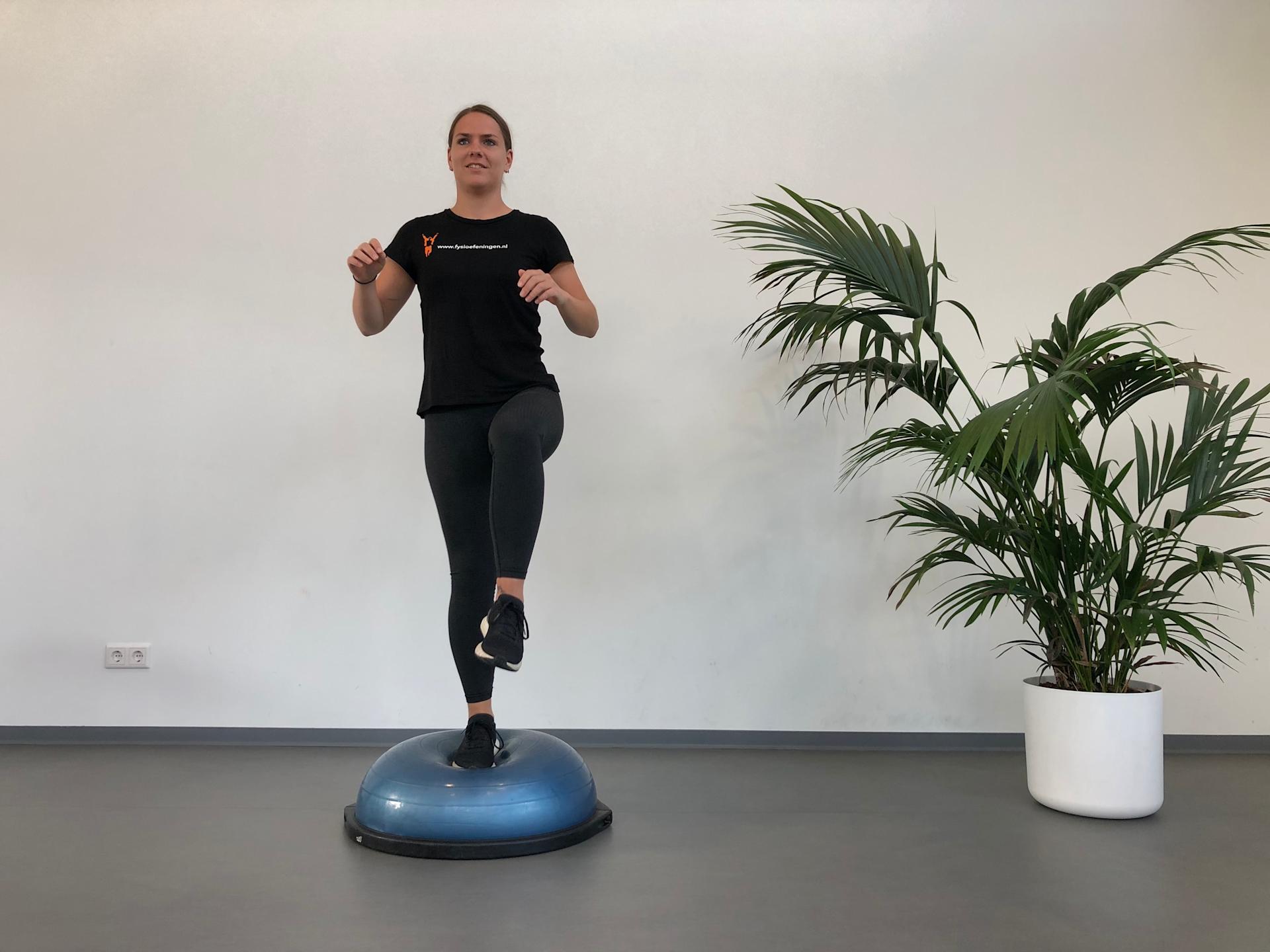 Enkel | Staand | Bosu bal Enkel | Staand | Bosu bal