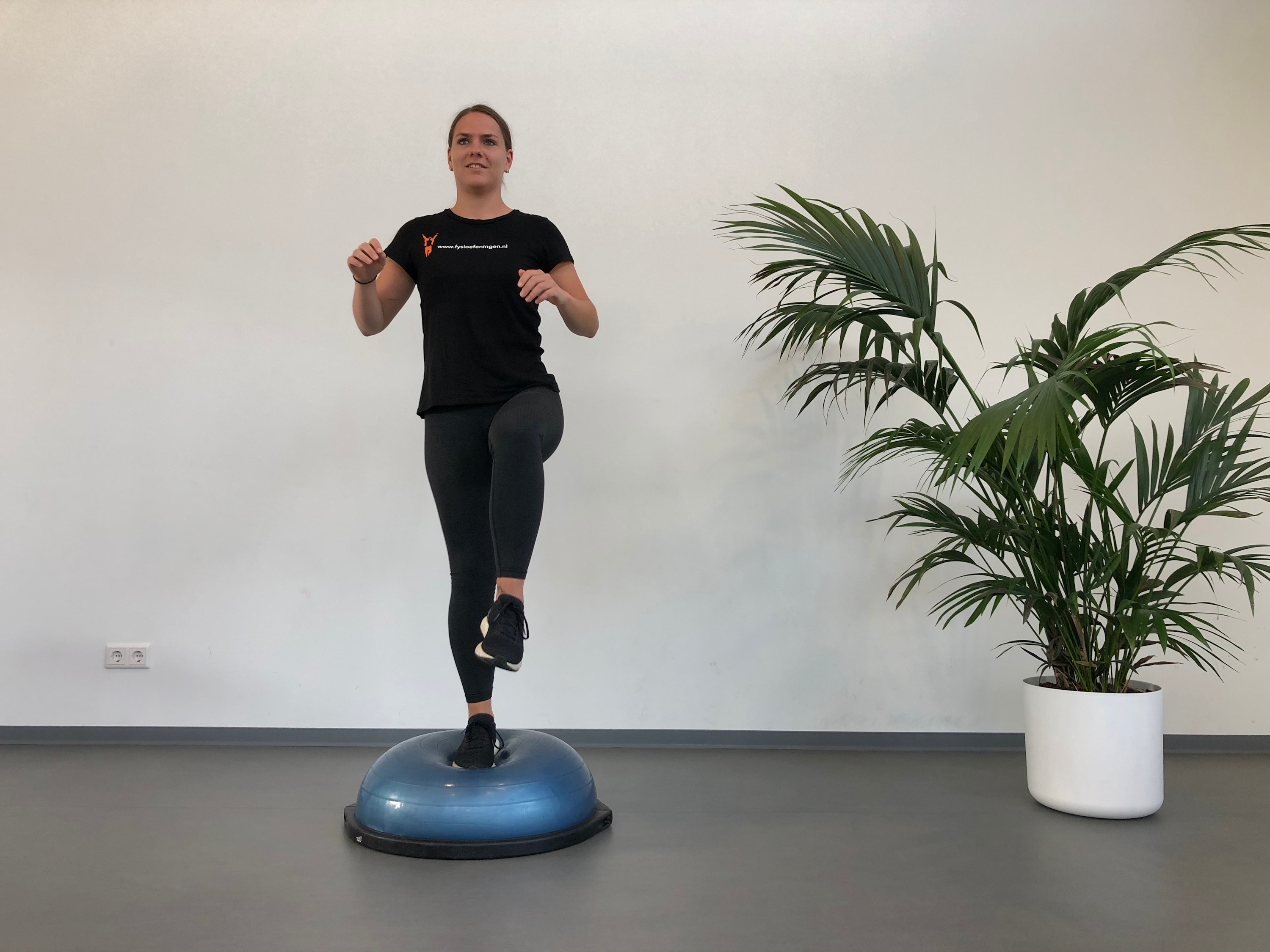 Enkel | Staand | Bosu bal Enkel | Staand | Bosu bal