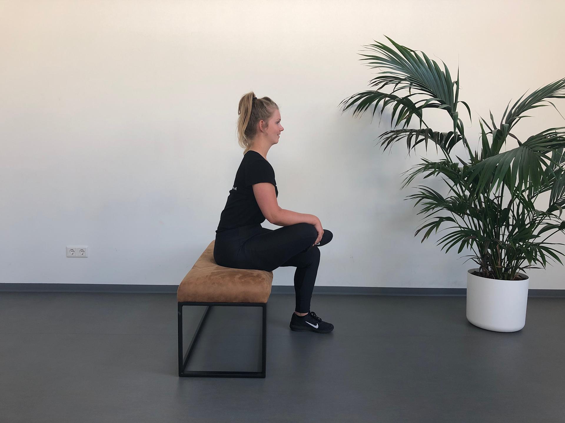 Bilspieren | Zit | Rek bilspieren | Fysioefeningen.nl | Breda Bilspieren | Zit | Rek bilspieren | Fysioefeningen.nl | Breda
