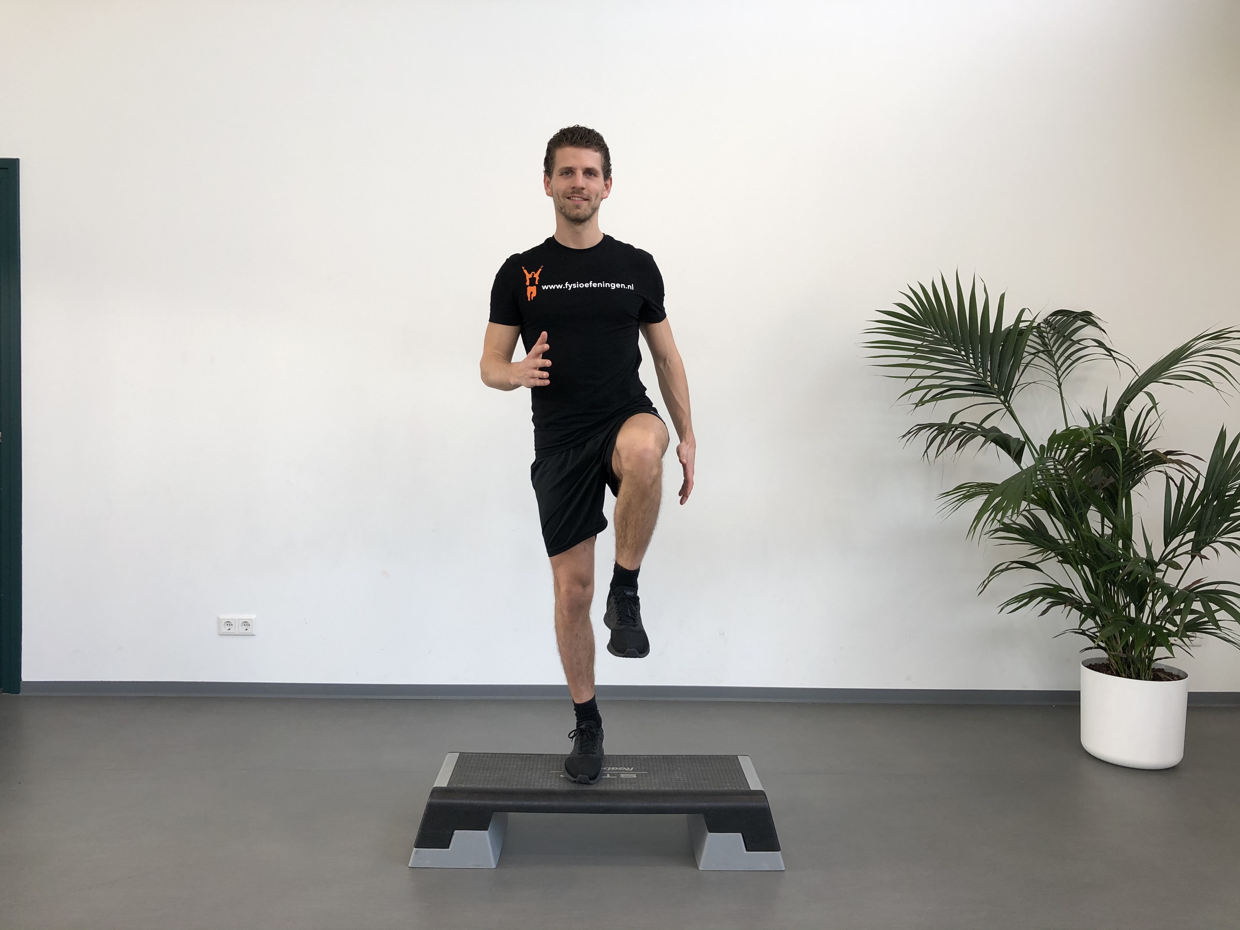 Benen | Staand | Step up los met knee lift | Fysioefeningen.nl | Breda