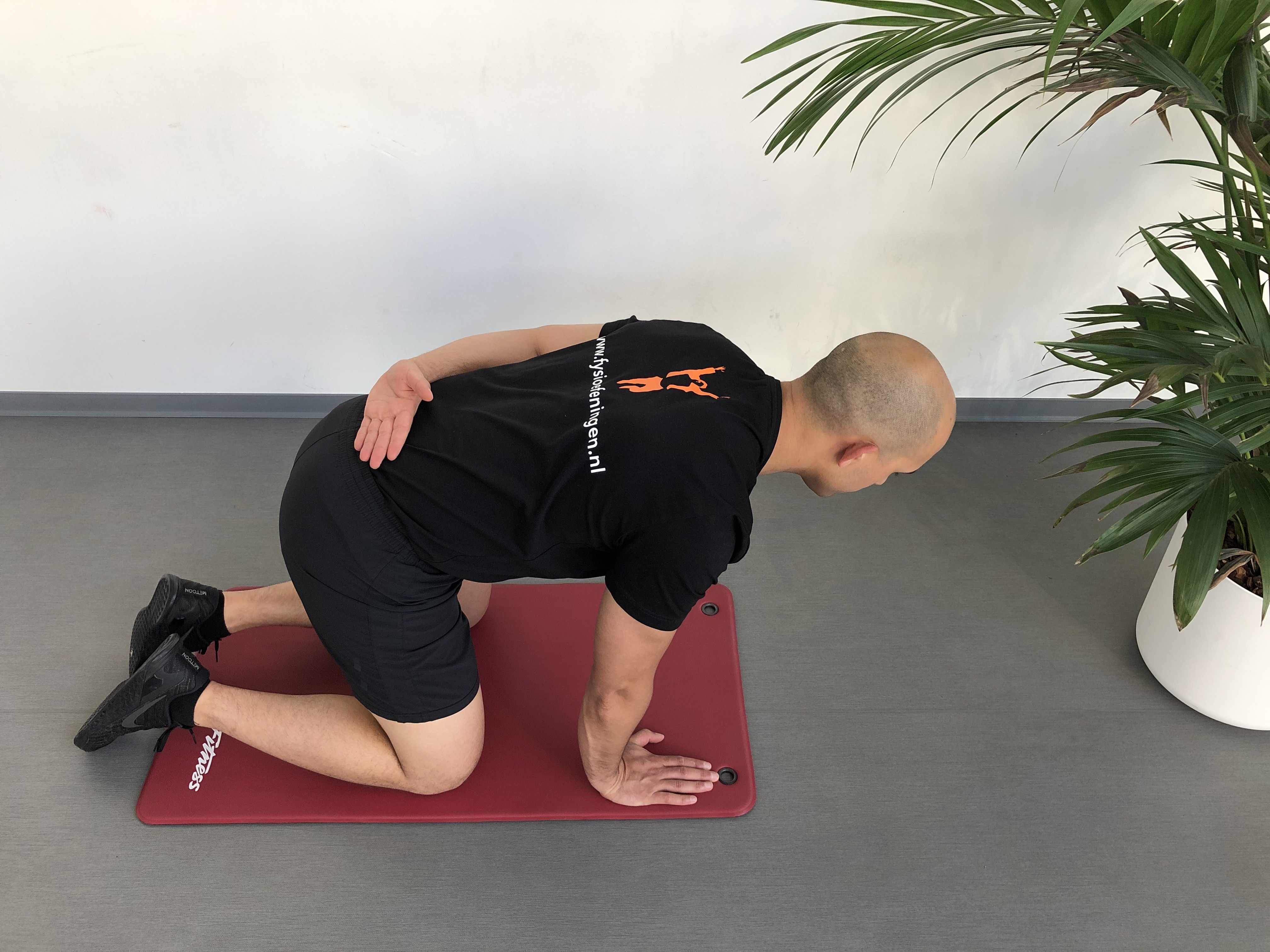 Schouder | In kniezit | Derby Protocol | Schouder stabiliteit | Fysioefening.nl | Breda