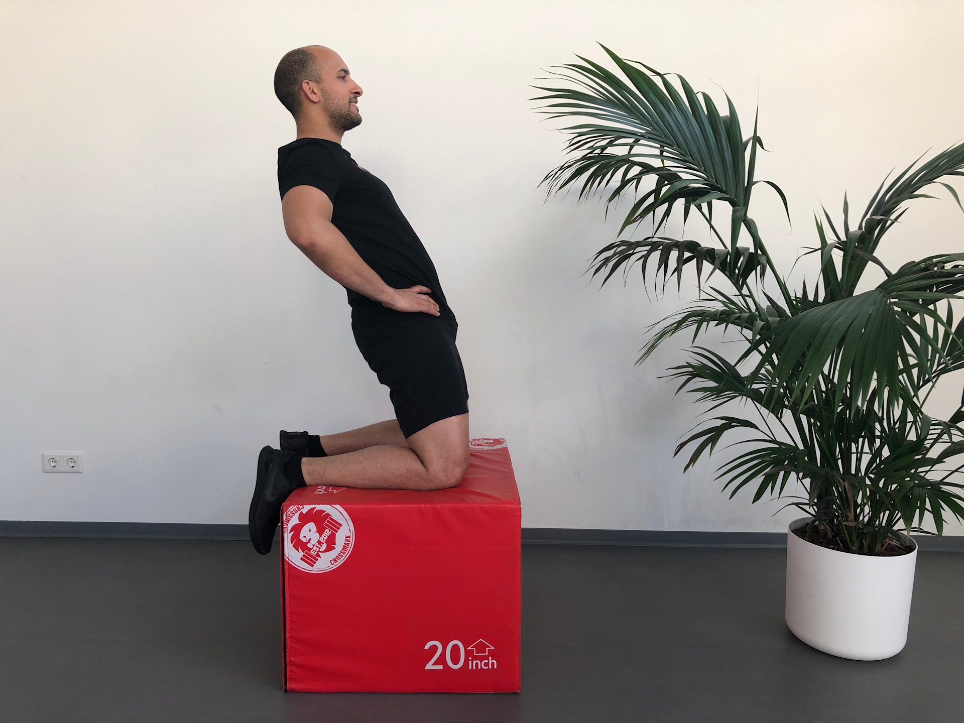Reversed nordic hamstring Bovenbeen | Kniezit | Reversed nordic hamstring | Fysioefeningen.nl | Breda