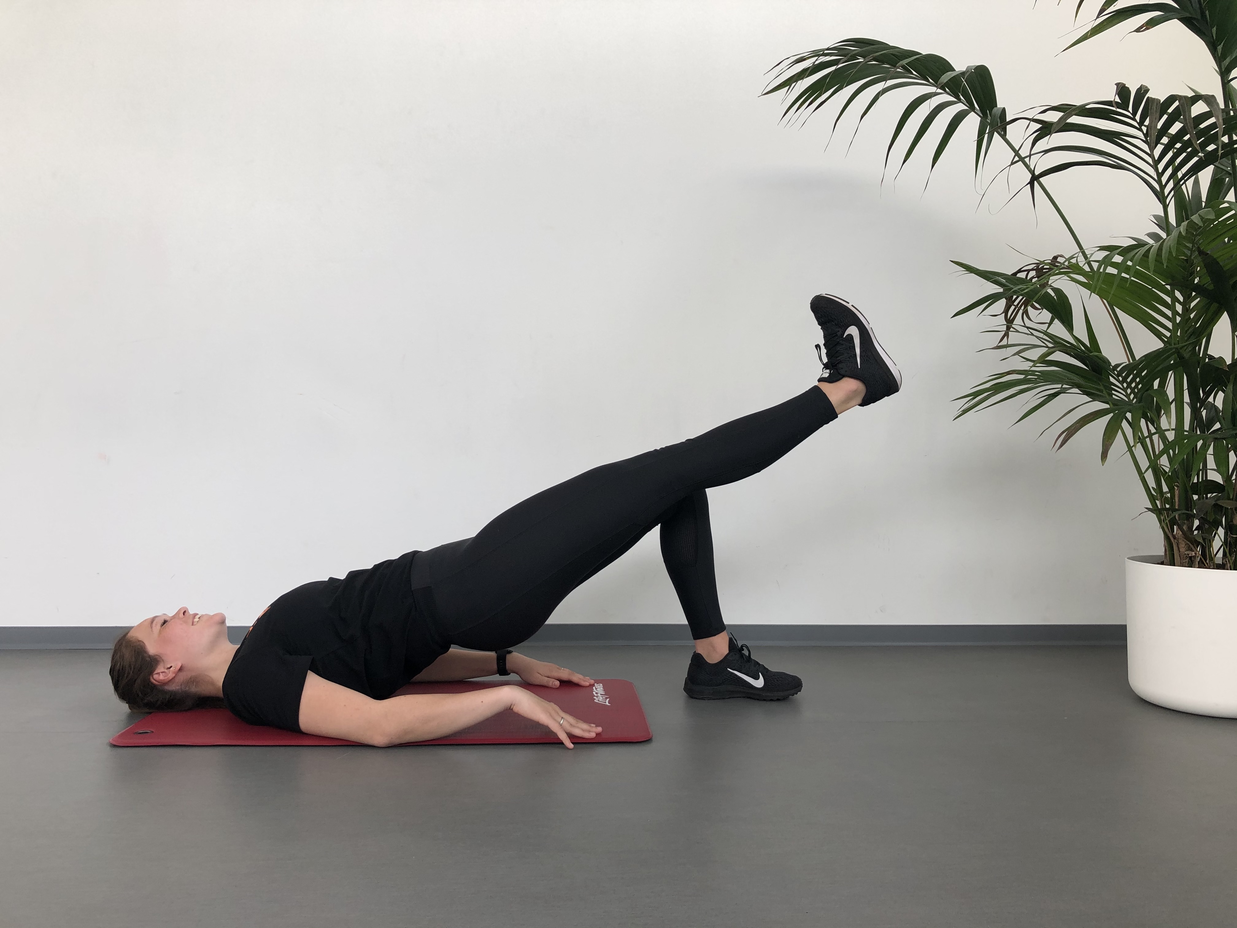 LWK | Ruglig | Bruggetje op één been | Fysioefeningen.nl | Breda