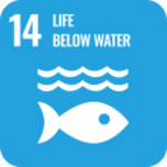 SDG Card - Minimizing Marine Pollution