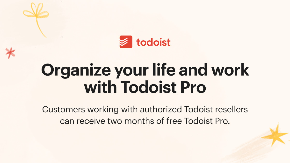 Organize your life and work with Todoist Pro
