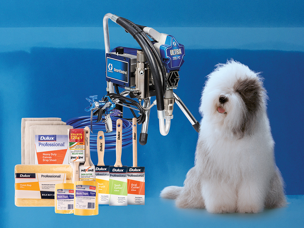 Trade Promotions Dulux
