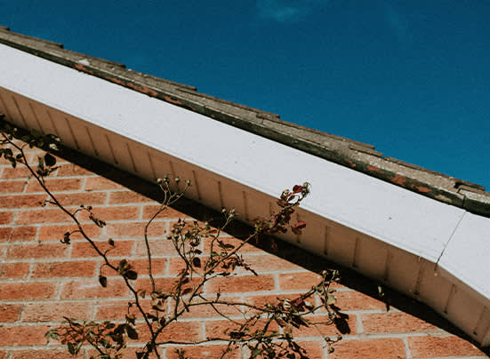 Does home insurance cover roof leaks?