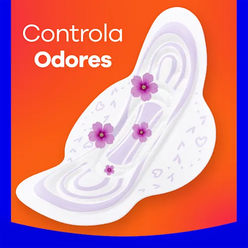 Always Dia Seca com Abas Fluxo Médio