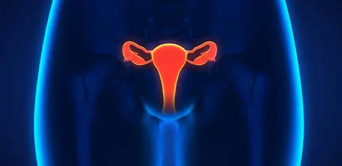 Sistema reproductor femenino