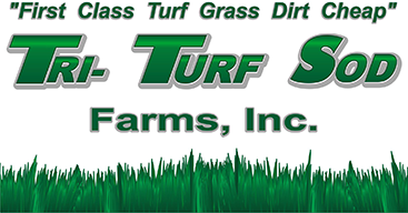 Tri Turf Sod