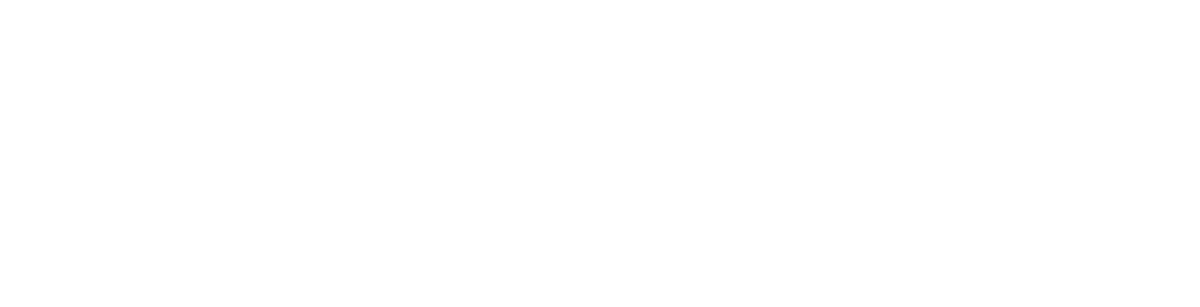 The Megawatt Group