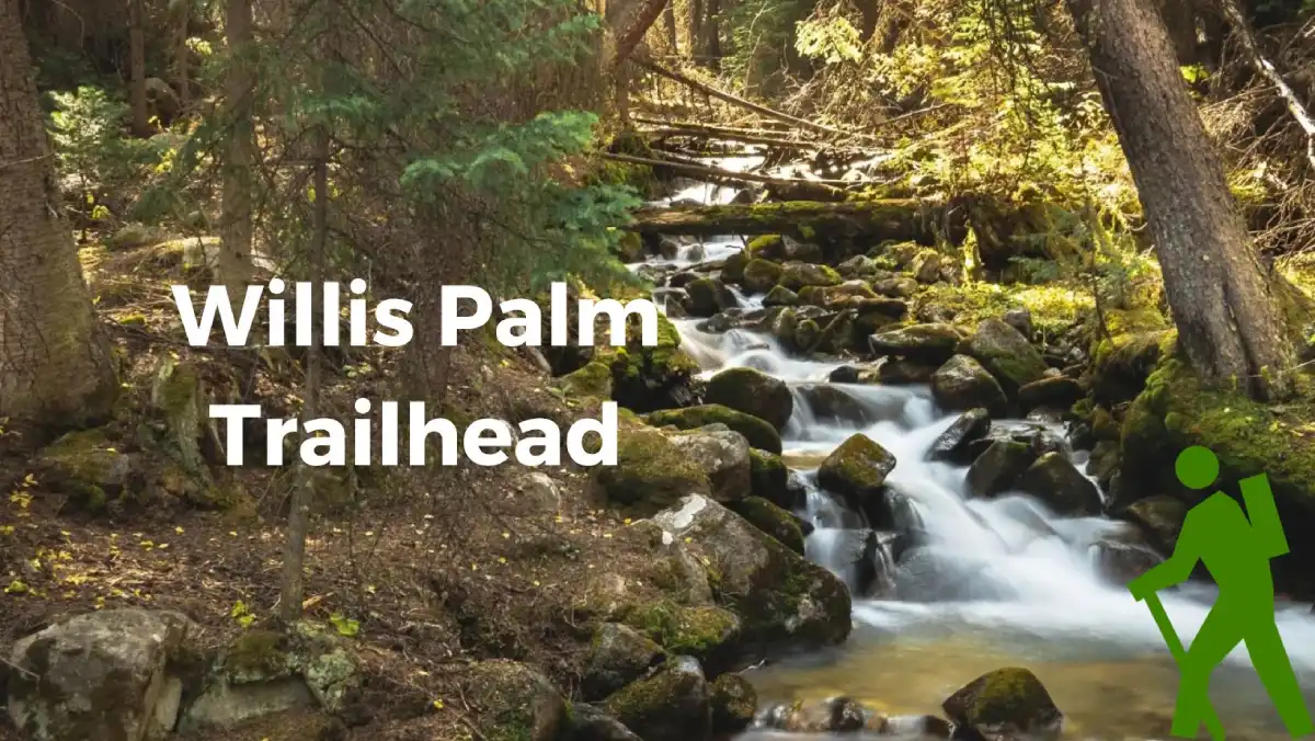 Willis Palm Trailhead