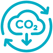 Carbon Emissions