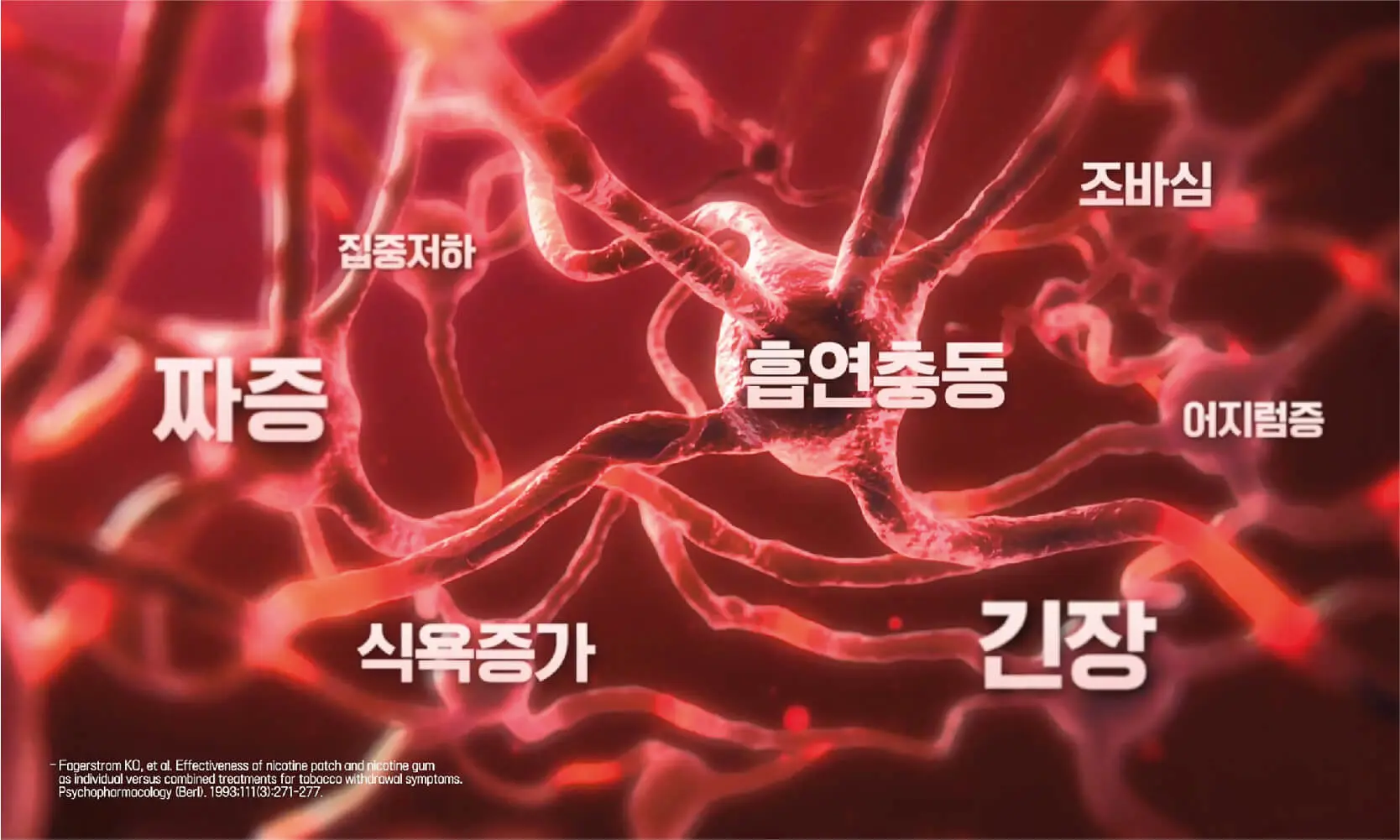 임상으로 확인된 금연효과