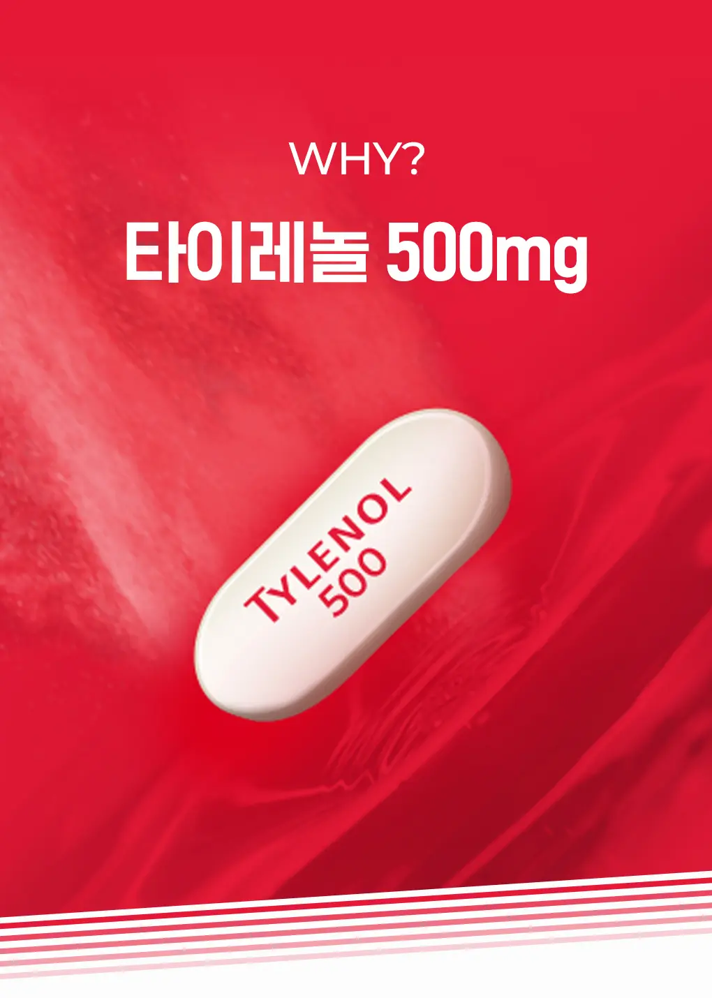 타이레놀 500mg