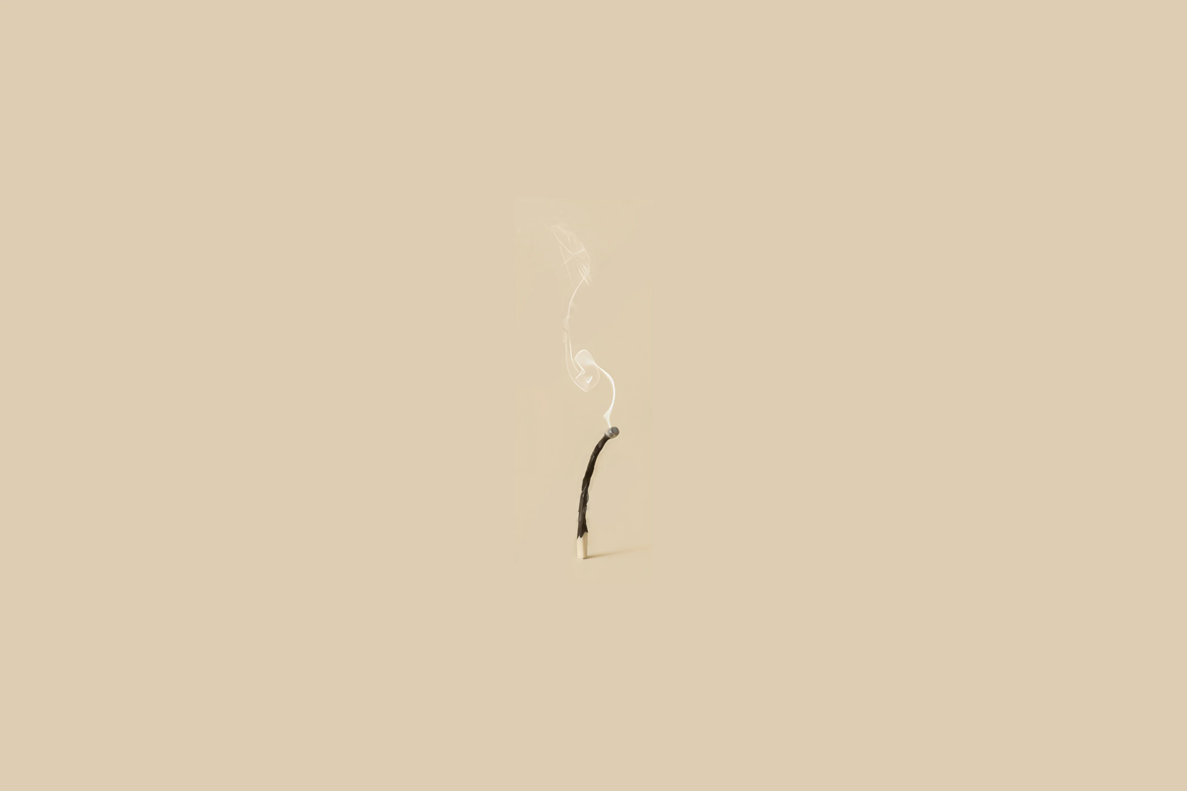 Image of a burnt out match