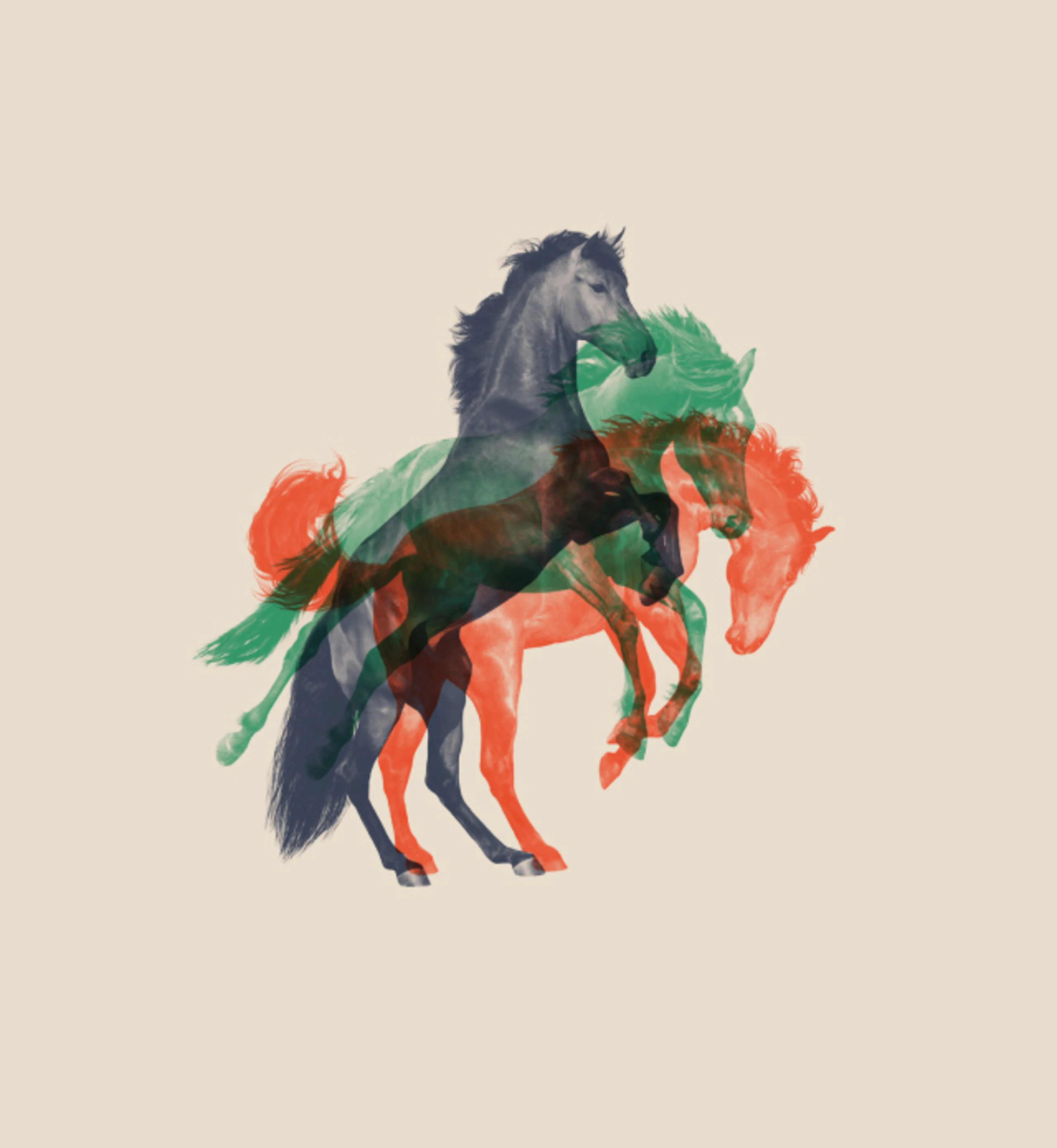 Illustration of three horse poses overlayed in transparent red, blue, and green colors